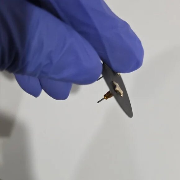 Stunning Gold Star Stud Earrings - Minimalist Dainty Women's Fashion Jewelry - Picture 5 of 10